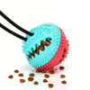 Interactive Suction Cup Tug Toy for Dog